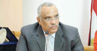 المهندس محمد ابو سعدة