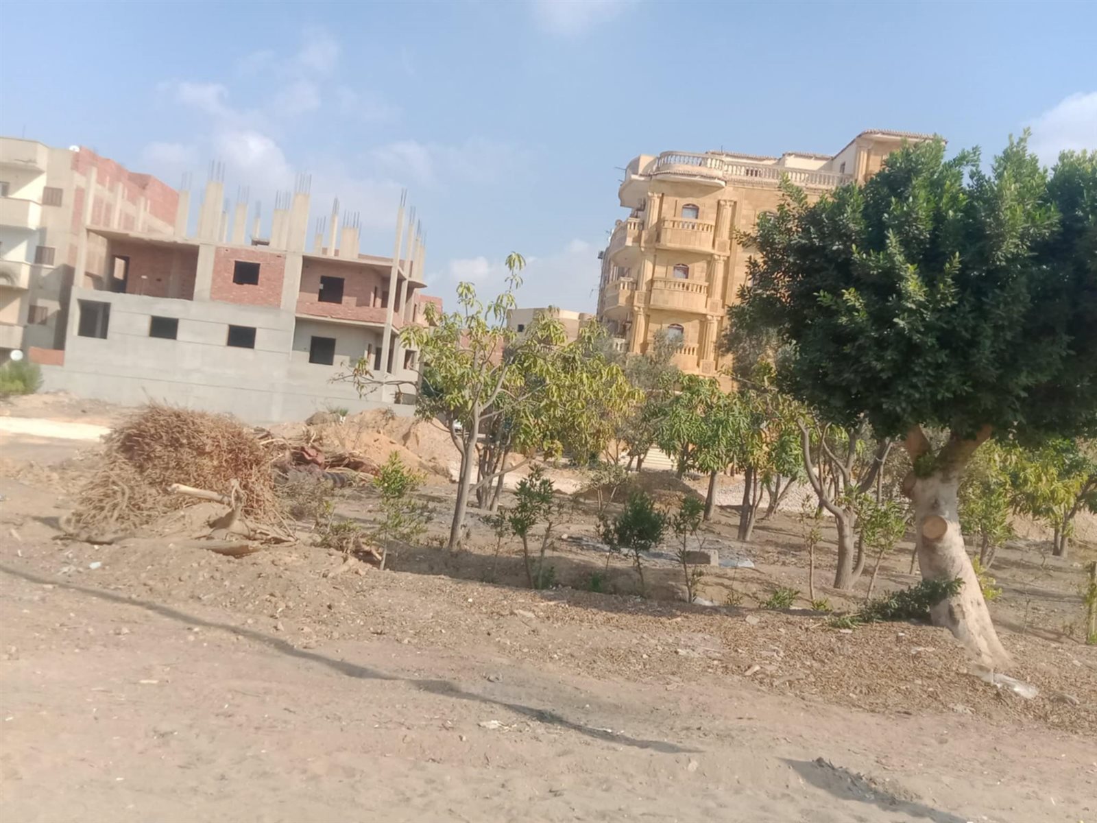 Messenger_creation_8A7BF2A6-DE3C-479F-B360-AFE443334312