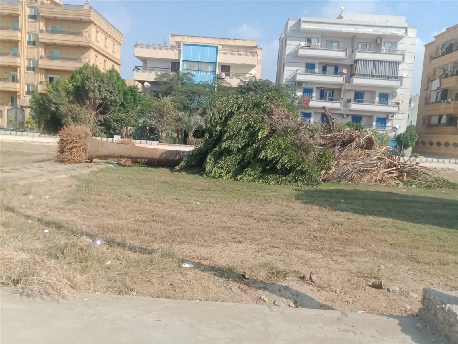 Messenger_creation_0C49587B-EB77-40FE-9513-E1BF07FA34F3