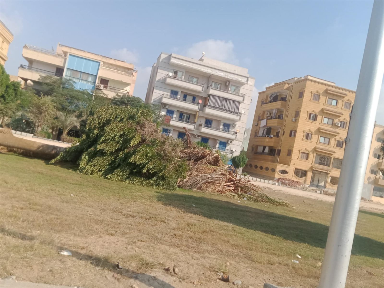 Messenger_creation_51B9B009-1BCC-48B6-875D-854A2323A76A