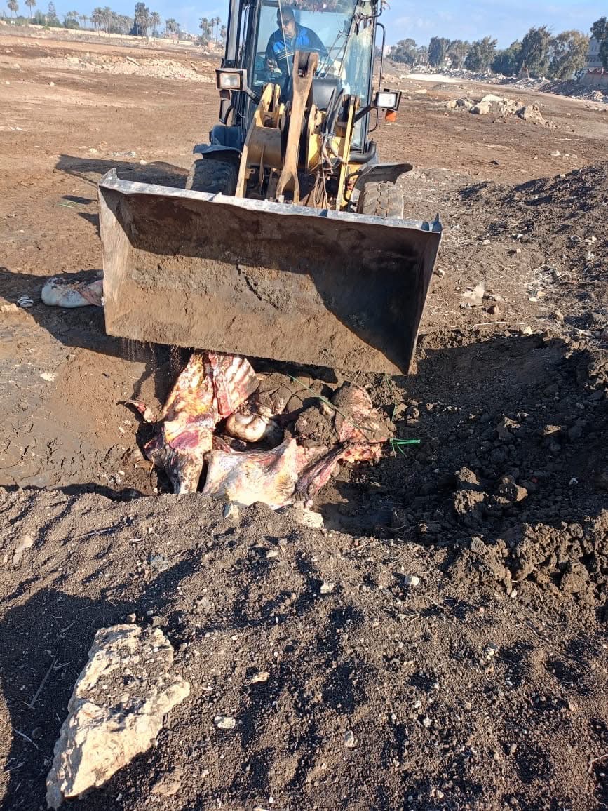 342939C0-D35E-456E-87CE-5F116B481FEB