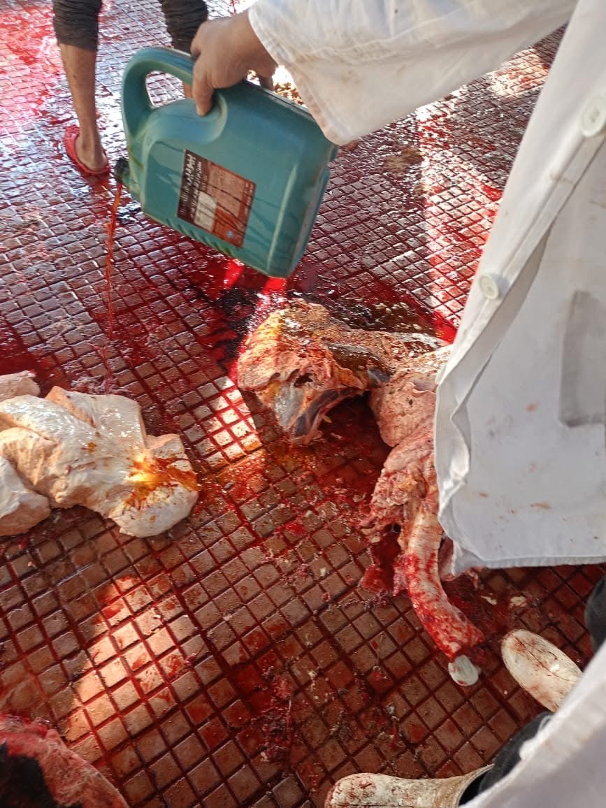 D28B88E8-BE21-4CC0-B000-C4729931274E