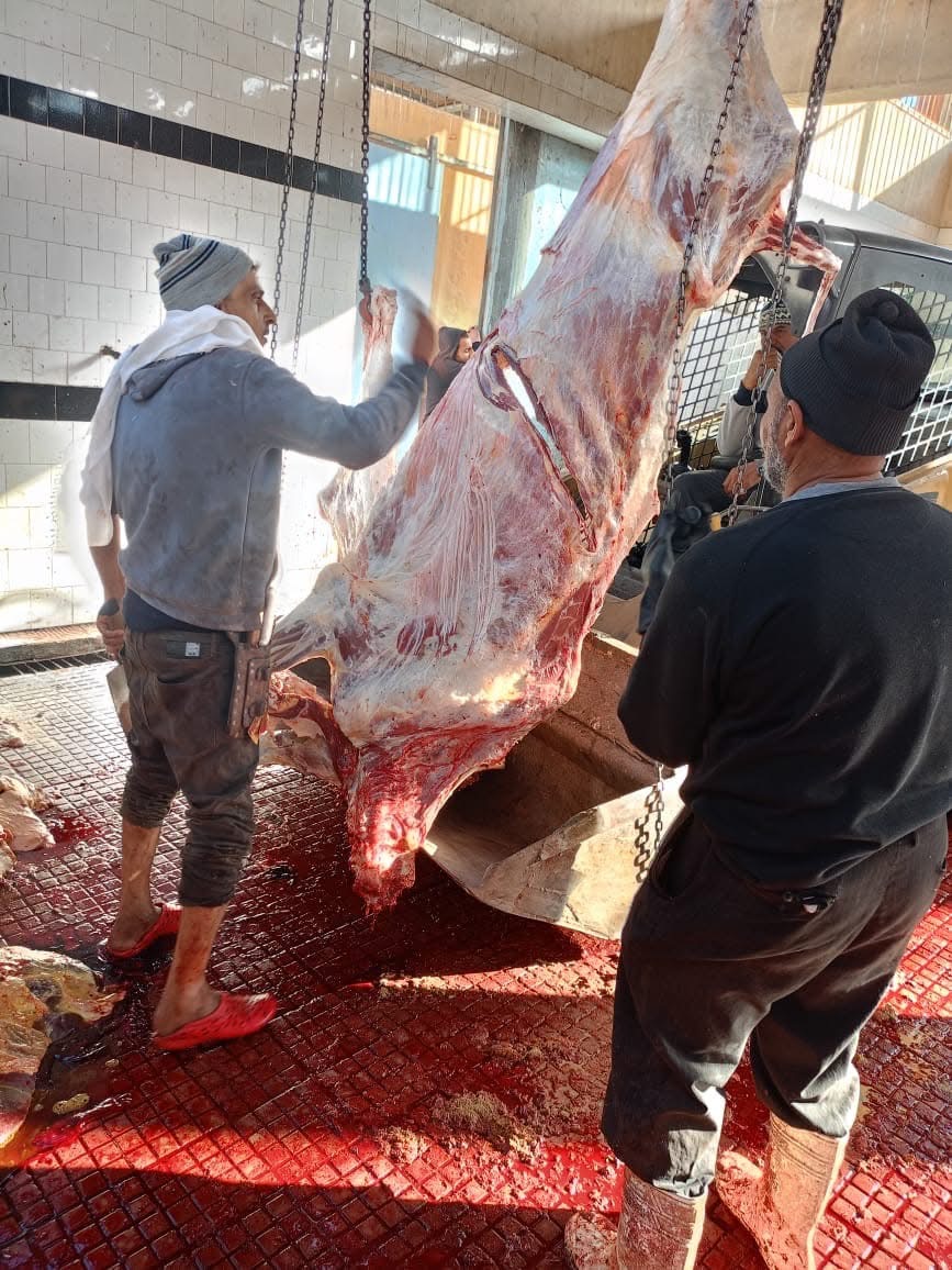 ACA1CAFA-DA5A-461E-9E06-6572B44A9A4C