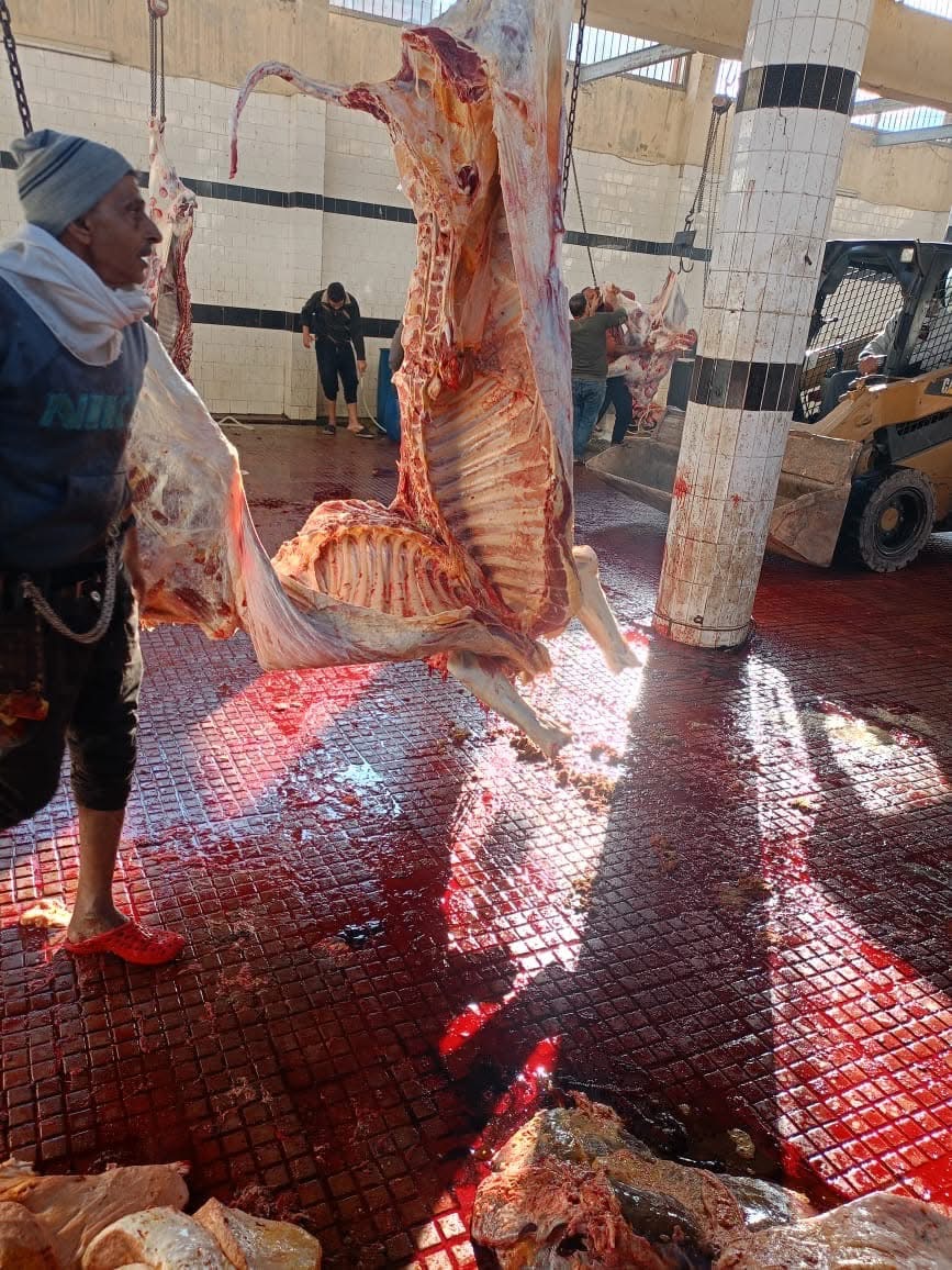 F96A935A-2CB0-4EF6-AFF7-D465BCA4EB27