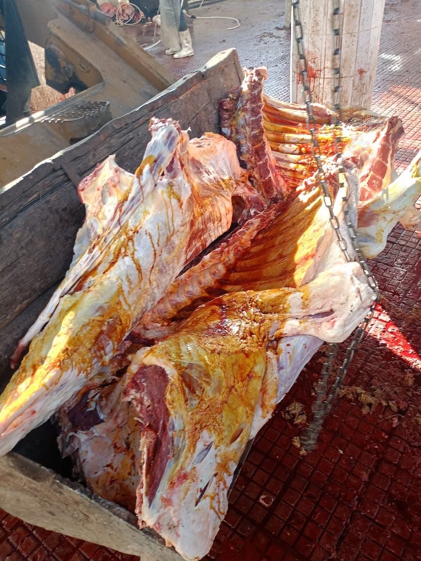 D3E66B94-4511-453F-99F9-2BF785F47C8C