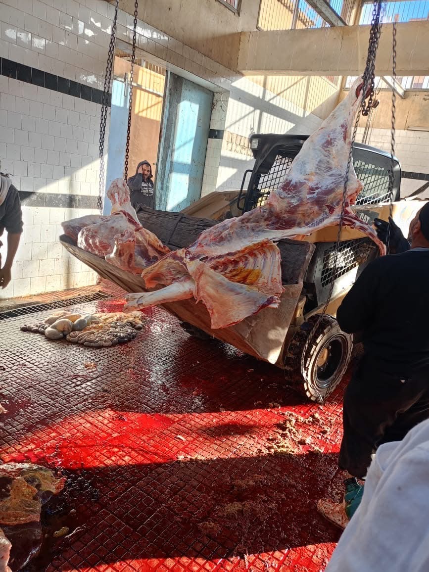 D8CA94E3-875A-41CB-B263-9E4AF1DB4CC7