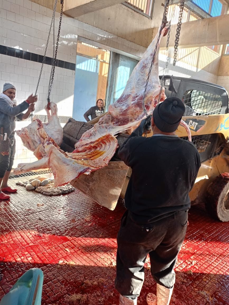 325AE818-E5AC-4545-B605-A8A983EDD413