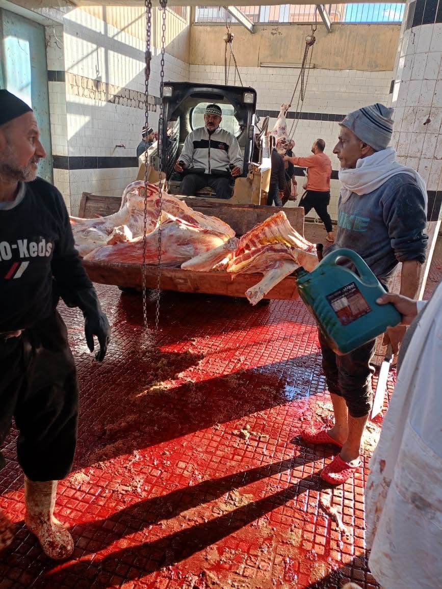 444E5E4D-15A3-4CBD-80BB-6E4EC2D3EC54