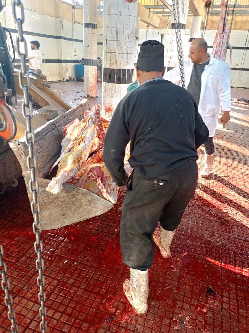 1696AAFD-F0E9-4A03-ABA6-F94240D8E8AF