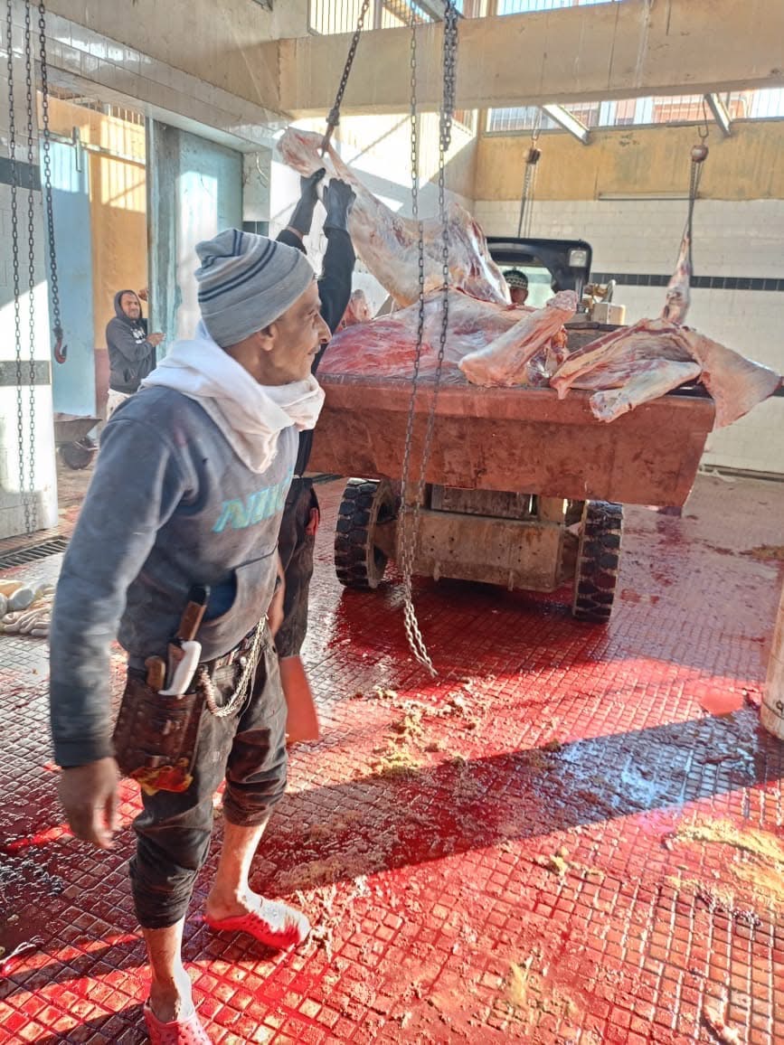 965695BF-86FD-47E6-A4CB-A7C8EF4FFA4D