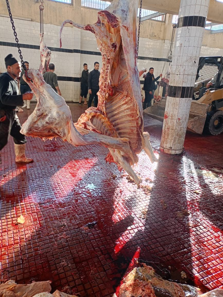 FBEA19F4-122D-4831-94BC-8EFBD6FD31C1