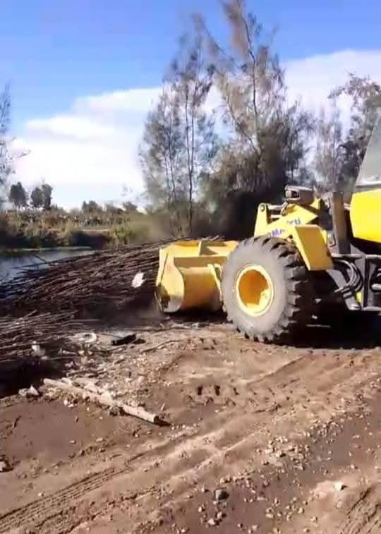 FB_IMG_1735057249508