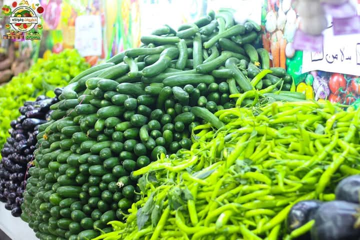 FB_IMG_1735126762385