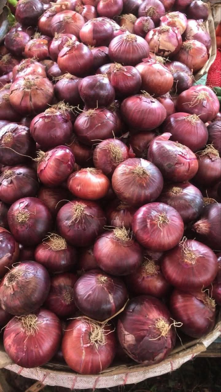 FB_IMG_1735126769431