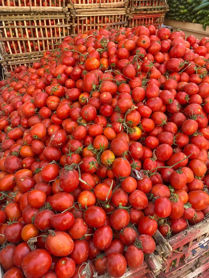 FB_IMG_1735126748611