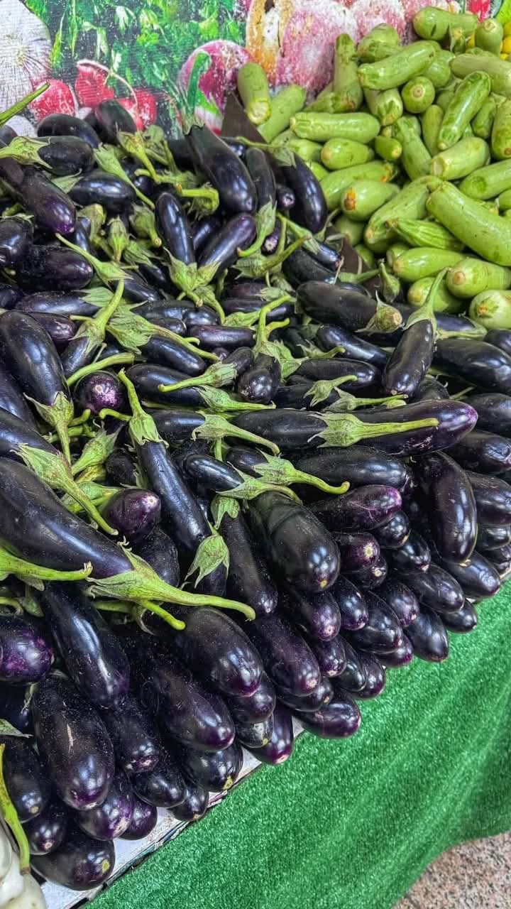 FB_IMG_1735126758731