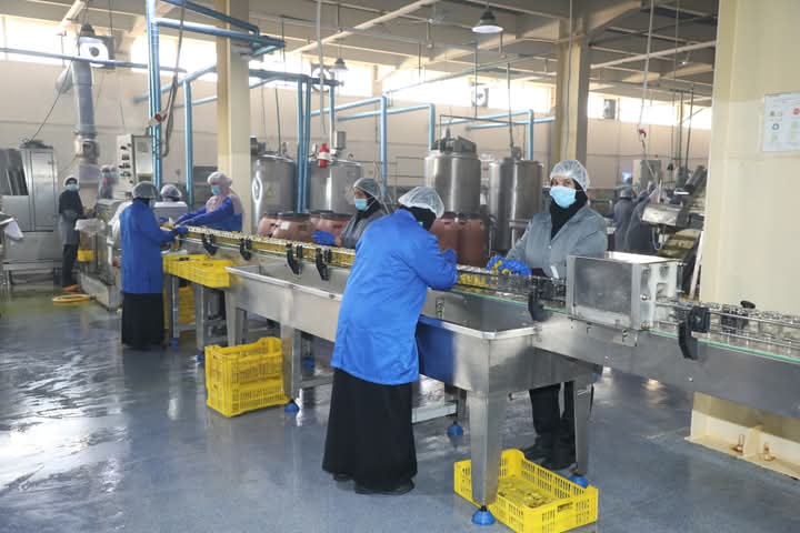 FB_IMG_1735742814032