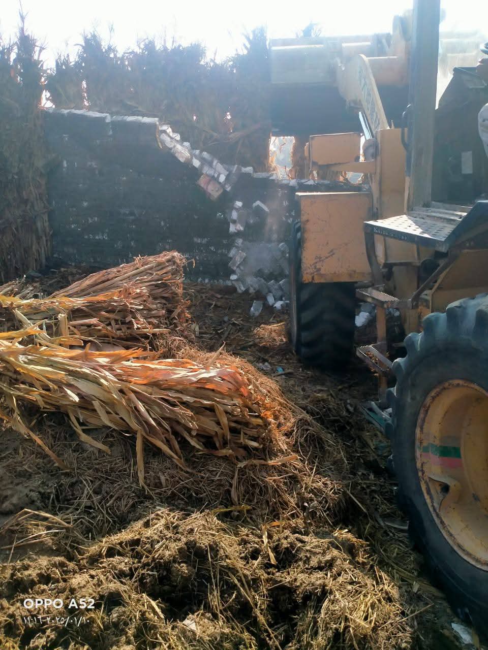 FB_IMG_1736522908017