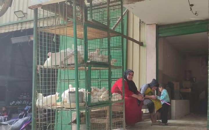 FB_IMG_1736602601745