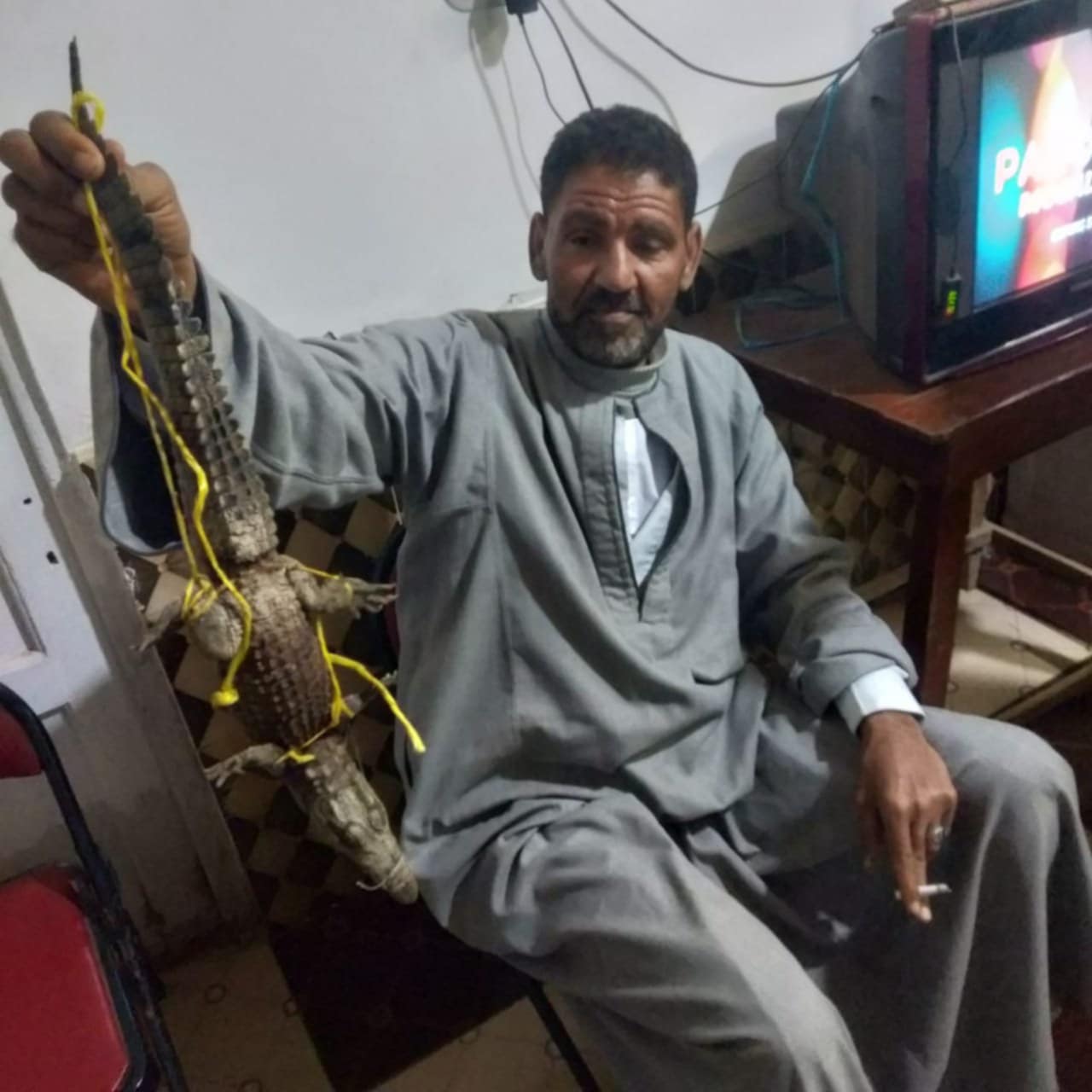 Messenger_creation_7B39822D-6FF7-4403-85B5-88411A6EDB49