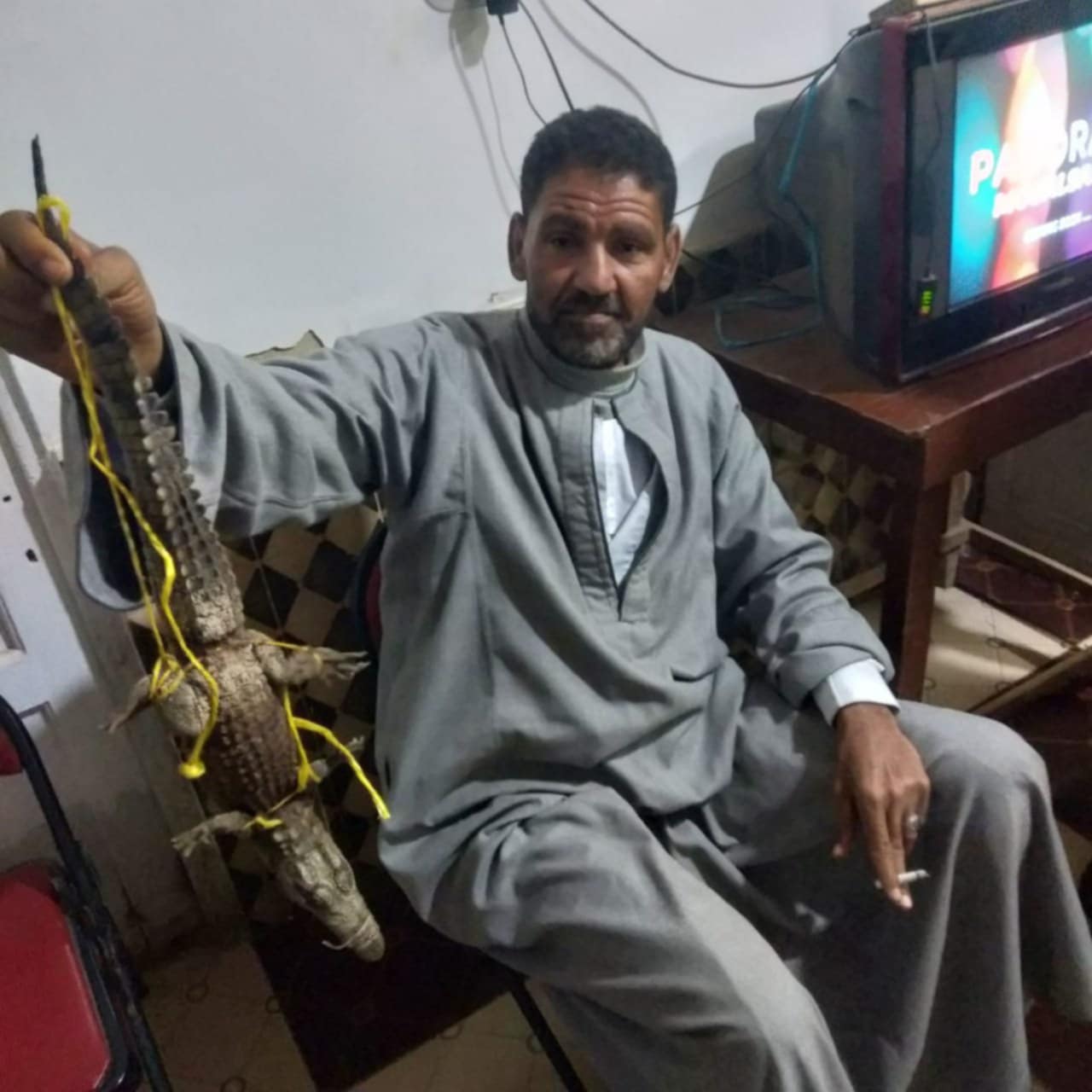 Messenger_creation_96B7D8E3-A52A-4BC6-A7D8-D1B2C41E7C0A