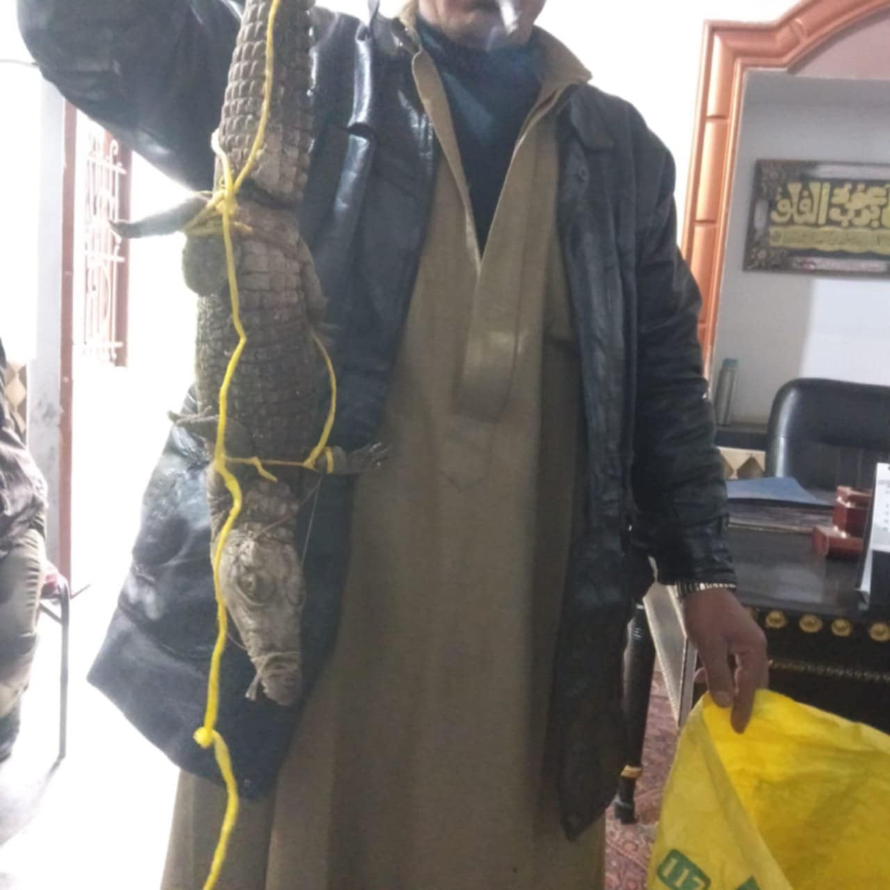 Messenger_creation_F147D3A5-01F6-4BD4-AC11-D1B04029B58F