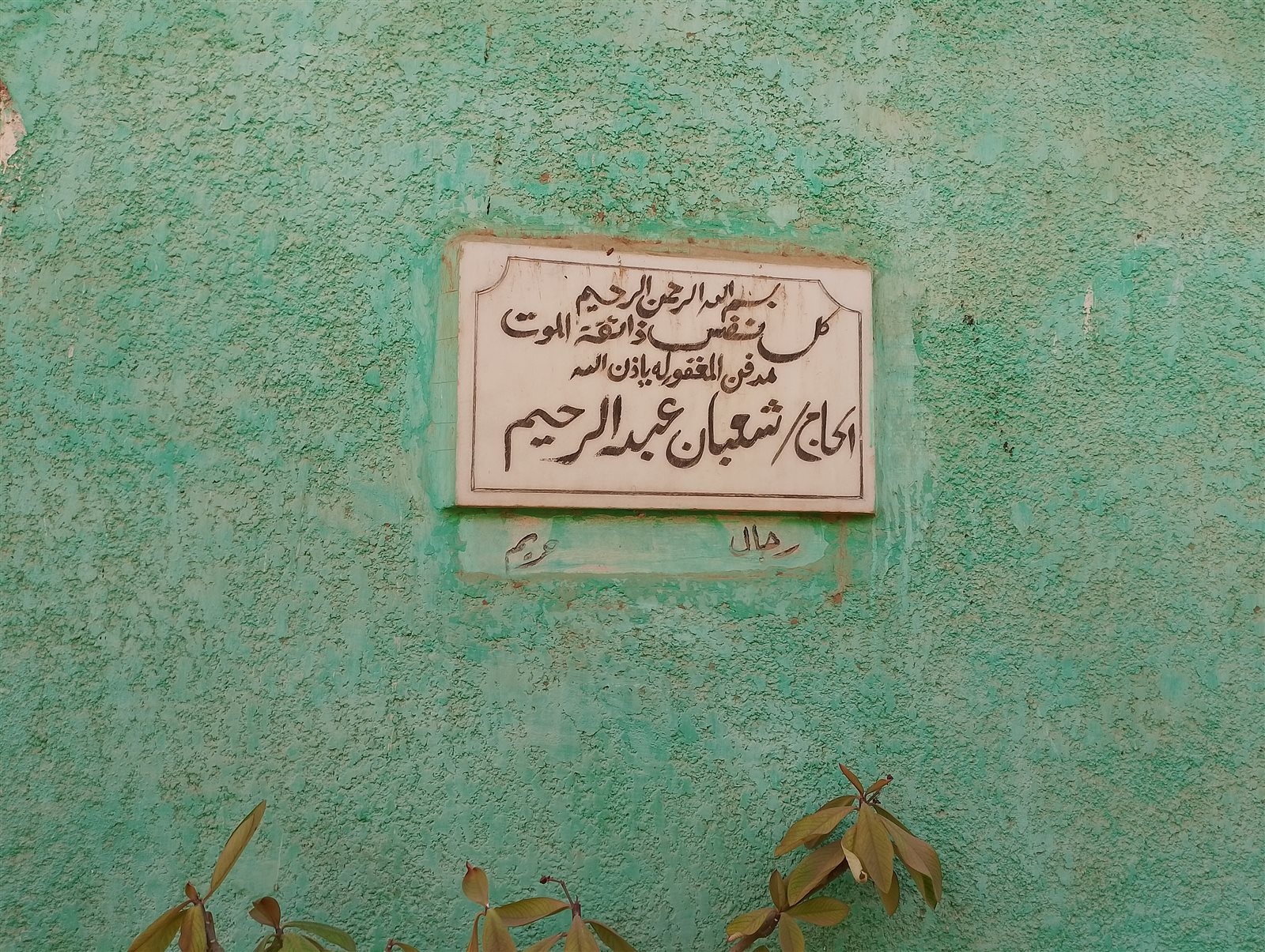 1000297215