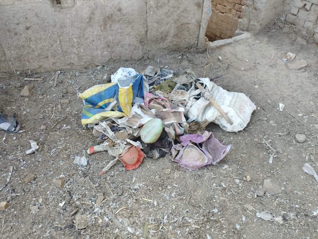 جانب من حملة لتنظيف المقابر بالمنوفية