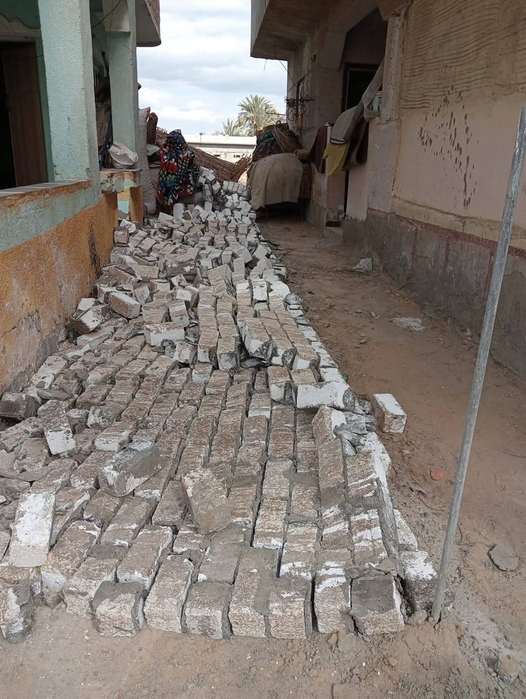 FB_IMG_1740324030069