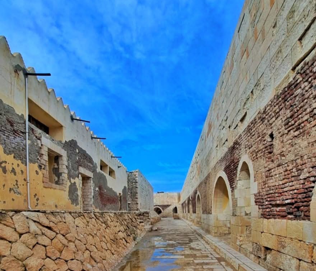 IMG_٢٠٢٥٠٢٢٣_٢٠٢٦٤٦