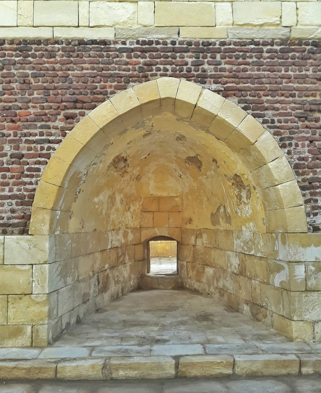 IMG_٢٠٢٥٠٢٢٣_٢٠٢٦٣٣