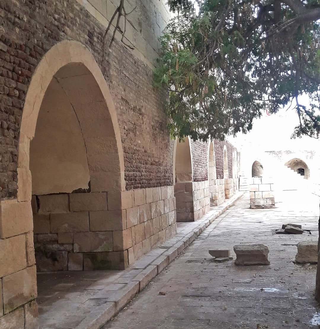 IMG_٢٠٢٥٠٢٢٣_٢٠٢٦١٢