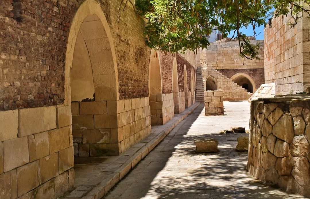 IMG_٢٠٢٥٠٢٢٣_٢٠٢٥٤٤