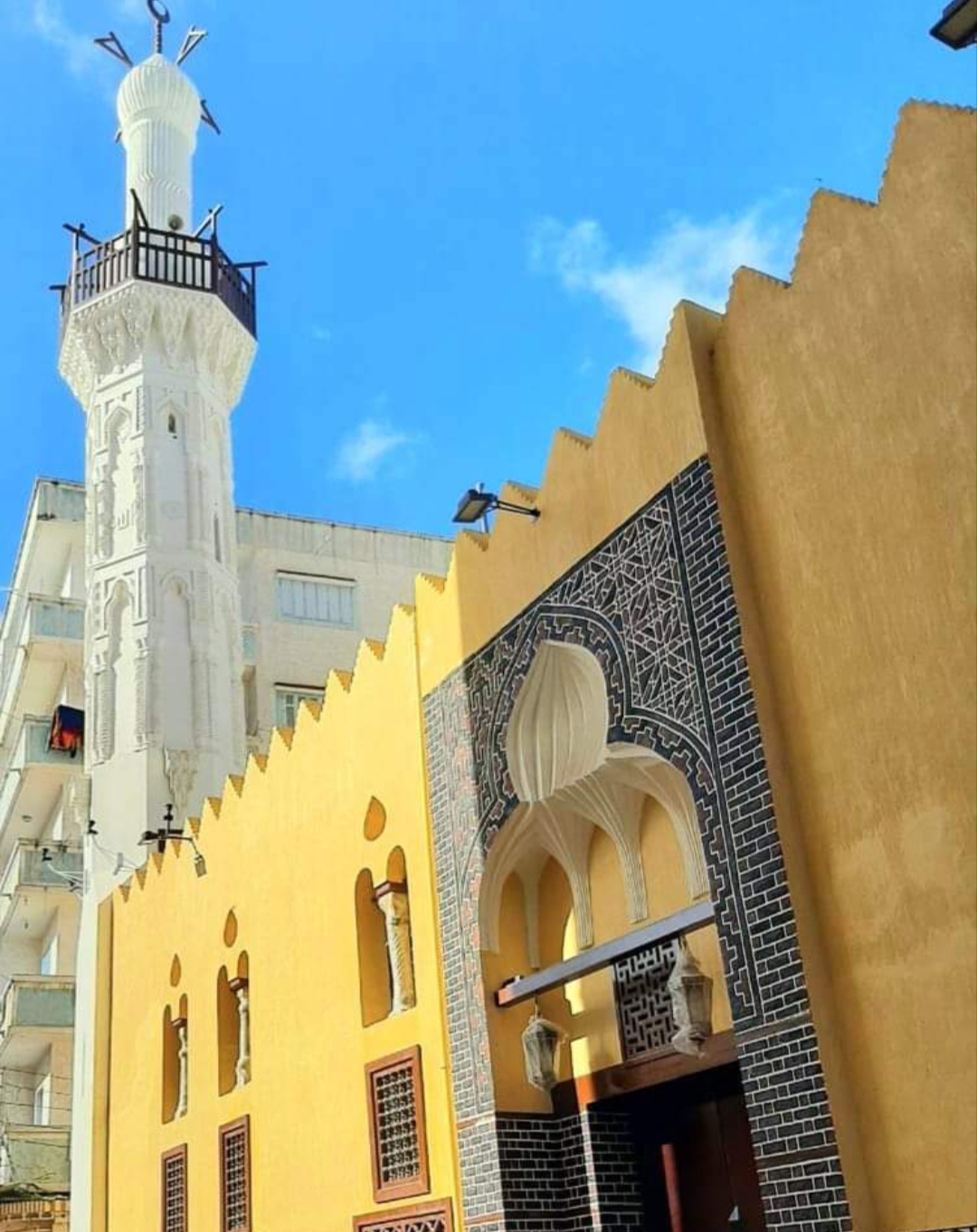 IMG_٢٠٢٥٠٢٢٤_٢٢١٥١٧