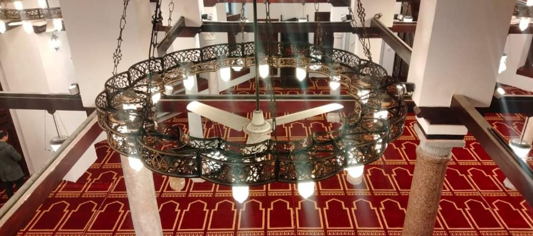 IMG_٢٠٢٥٠٢٢٤_٢٢٢٢٠٩