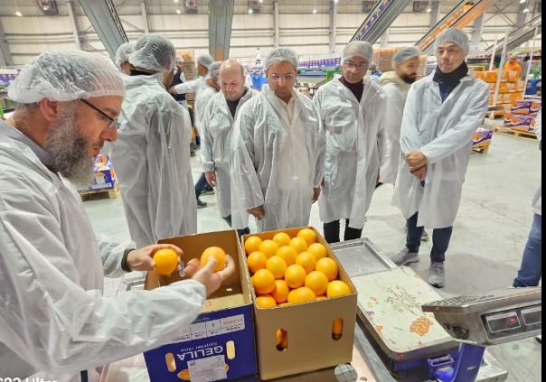 الحجر الزراعي