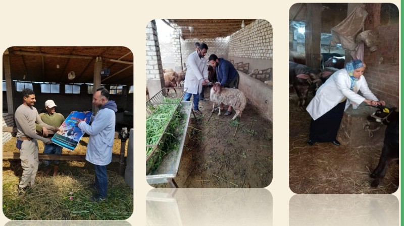 جانب من الحملة