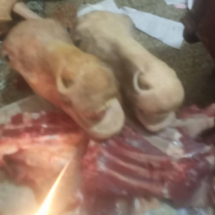 FB_IMG_1740757308410