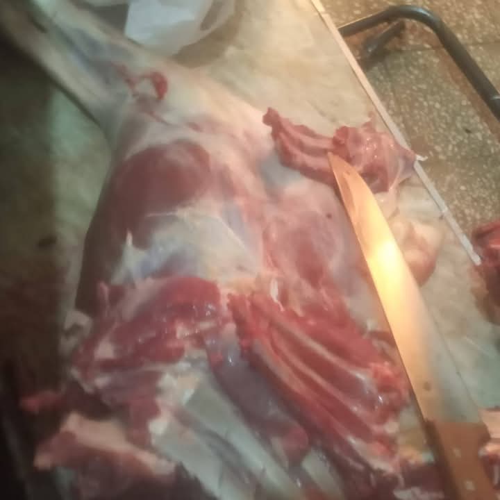 FB_IMG_1740757311528