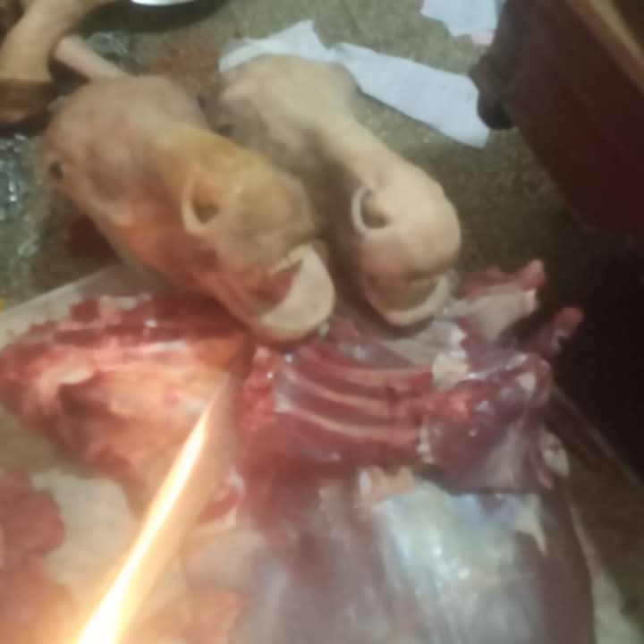 FB_IMG_1740757325235