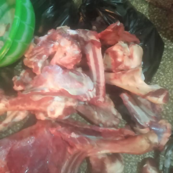 FB_IMG_1740757336012