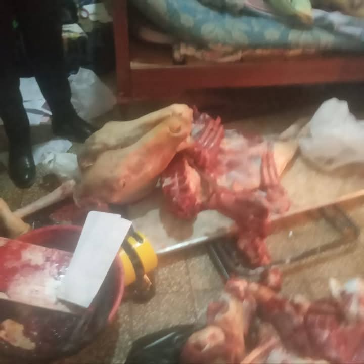 FB_IMG_1740757291022