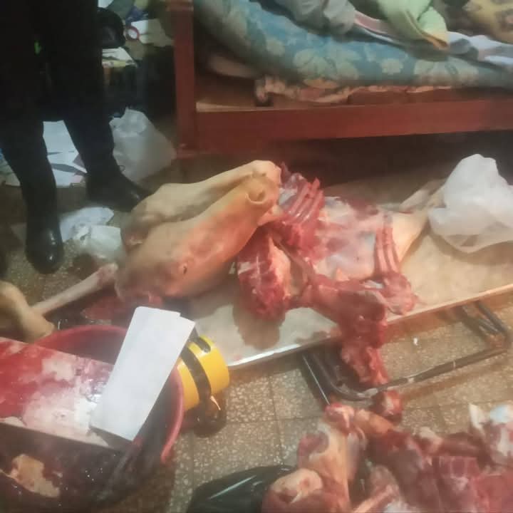 FB_IMG_1740757282949