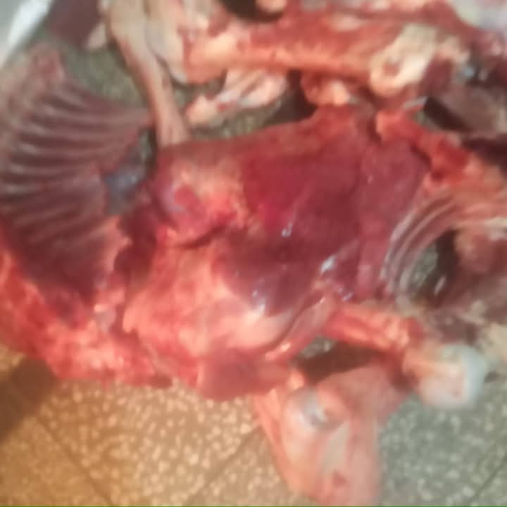 FB_IMG_1740757280021