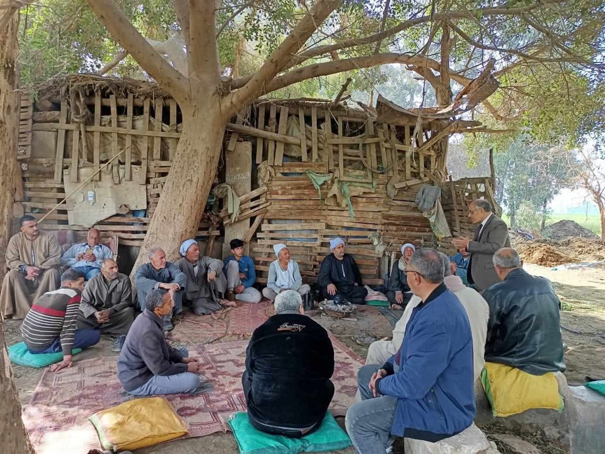 نشاطوا ارشادًيا