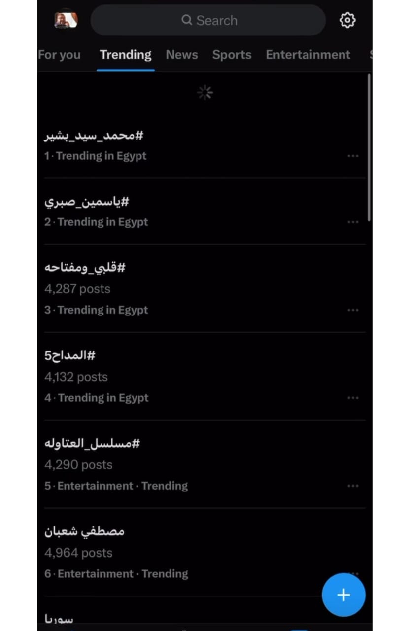 مسلسل الأميرة ظل الحيطة 