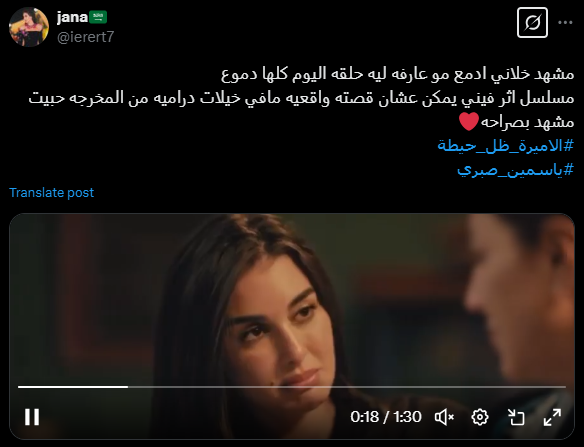 <strong>مسلسل الأميرة ظل الحيطة </strong>