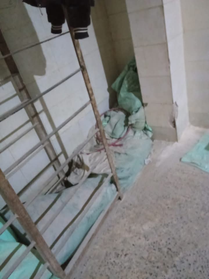 FB_IMG_1741523185450