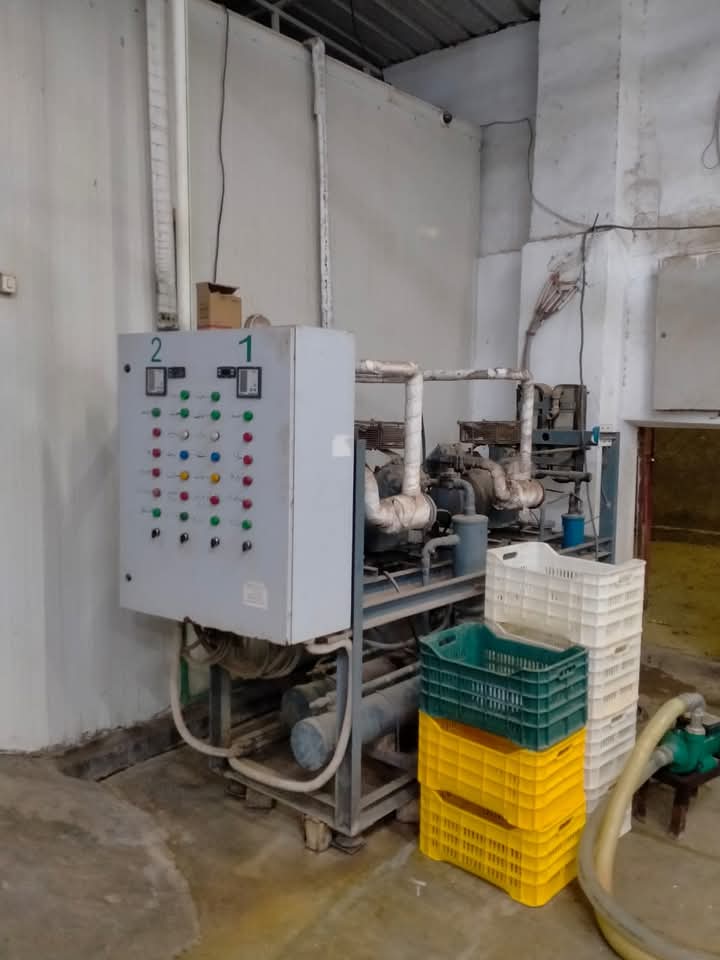 FB_IMG_1741697677169