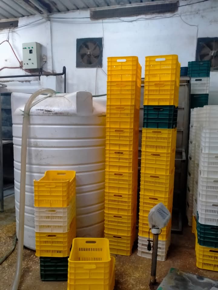 FB_IMG_1741697674917